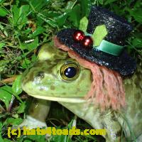 /home//u458753944/public_html/sourcegallery////////Frogs/More bullfrogs/P6020117.JPG